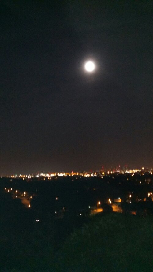 IMG_20130623_232841_277.jpg image