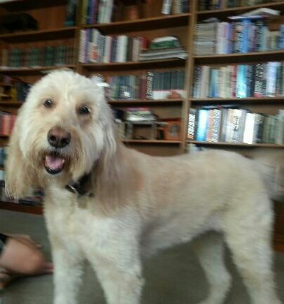 IMG_20130704_004542.jpg image